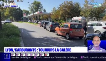 , Près de Lyon, des recettes de « flomages » 100% végétaux récompensées par le public