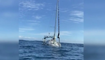 , Des orques attaquent des plaisanciers français au large du Portugal, leur voilier coule