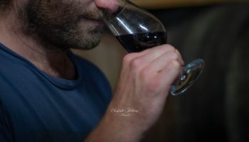 , Le domaine de Polignac à Gondrin Ses vins, son Armagnac, son Floc et son Escape Game!