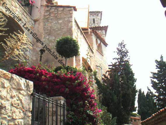 Vieilles pierres et bougainvilliers