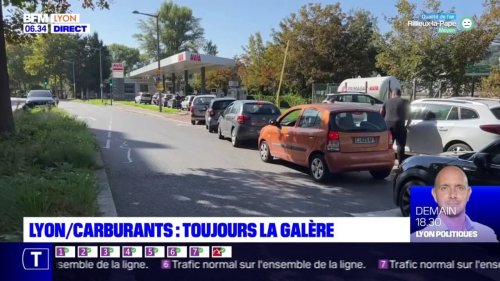 , Près de Lyon, des recettes de « flomages » 100% végétaux récompensées par le public