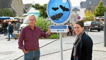 , Arradon. Des panneaux pour sensibiliser à la biodiversité