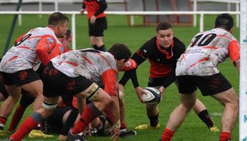 , Les Percherons intraitables à domicile