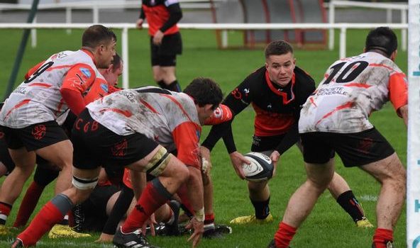 , Les Percherons intraitables à domicile